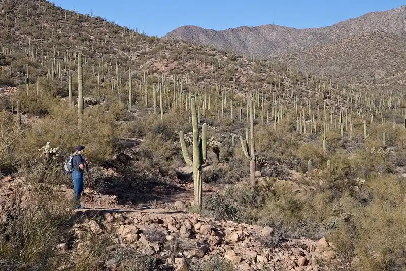 Wildlife Viewing Opportunities