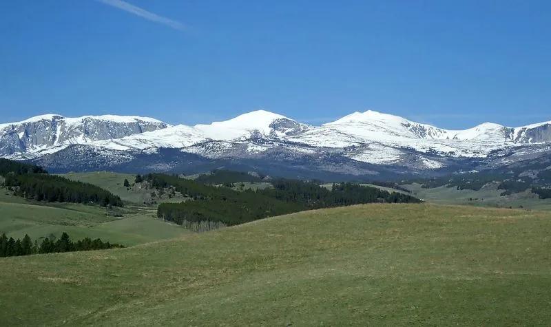 Buffalo