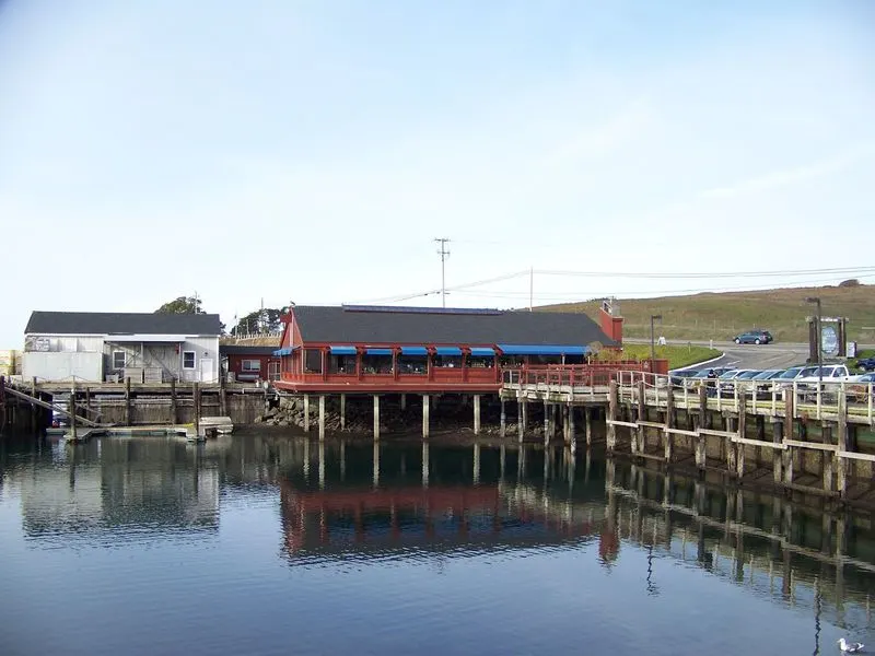 Bodega Bay