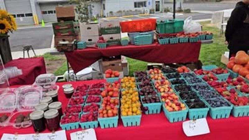 Lincoln City Farmers & Crafters Market