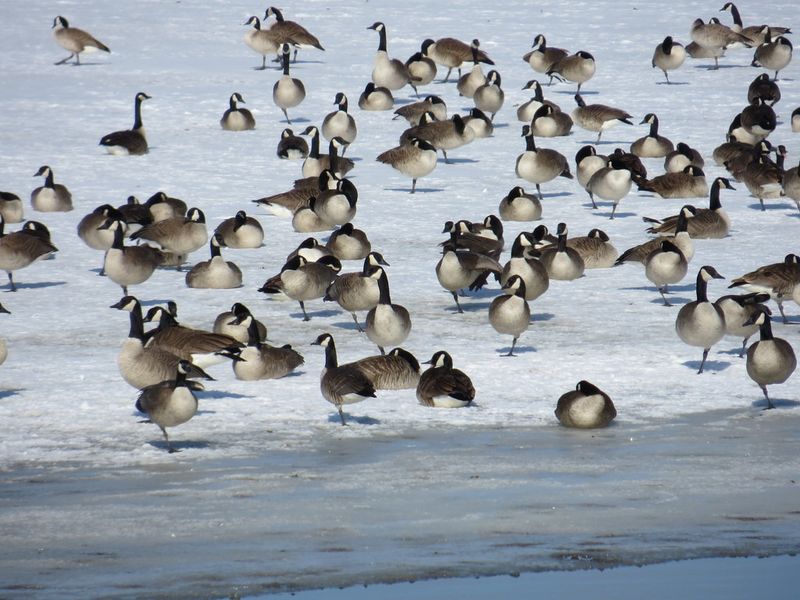 Lake Andes National Wildlife Refuge