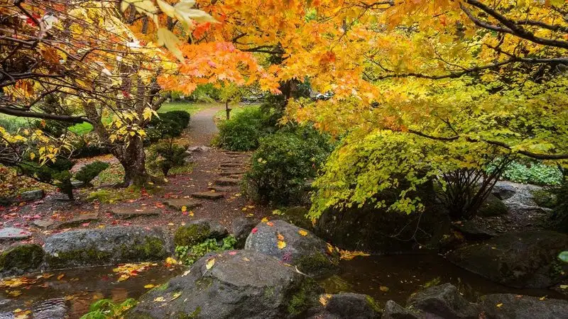 Oregon Foliage & Farm Festival