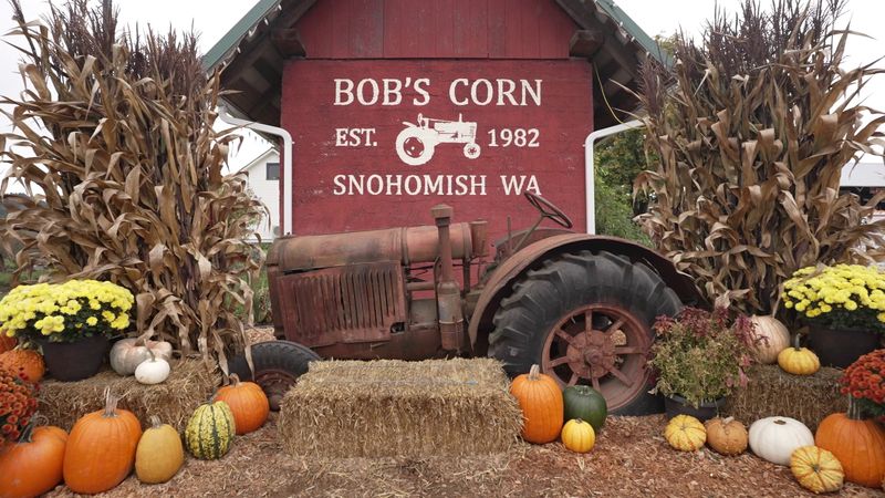 Bob’s Corn & Pumpkin Farm