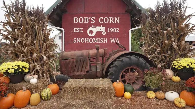 Bob’s Corn & Pumpkin Farm