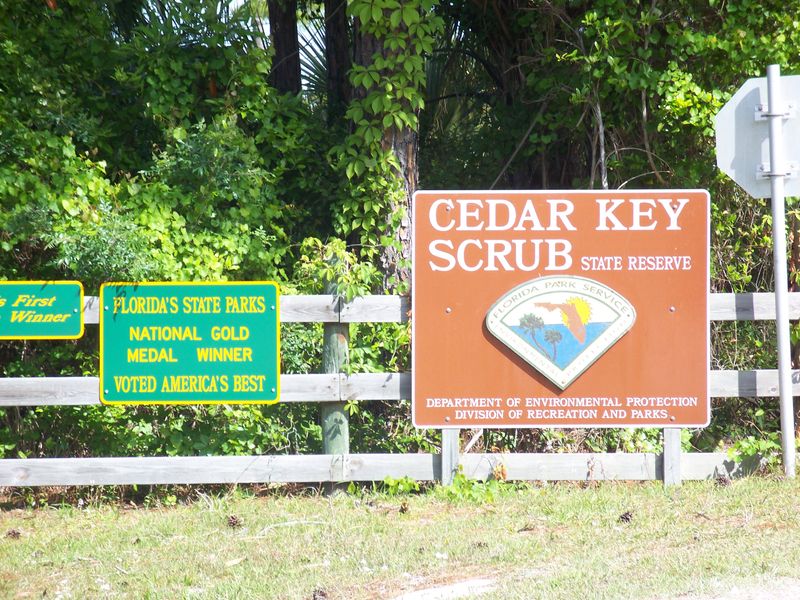 Cedar Key