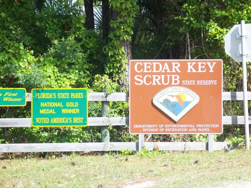 Cedar Key