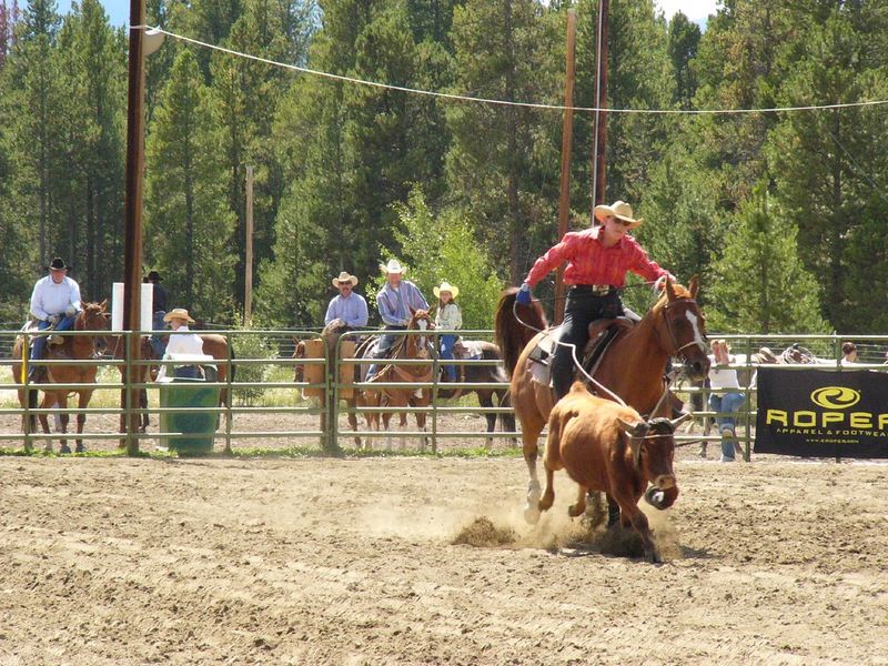 Glasgow Rodeo