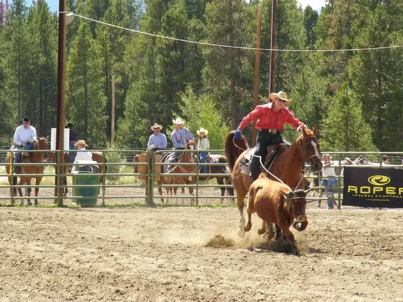 Glasgow Rodeo