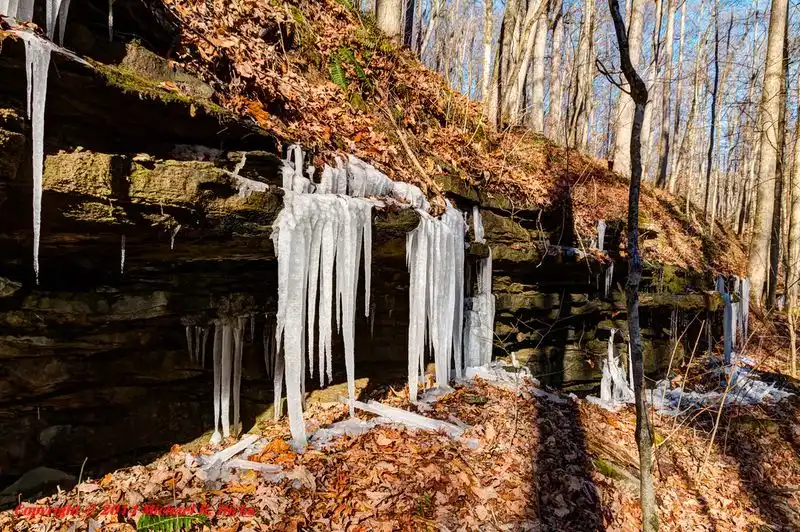 Mammoth Cave National Park