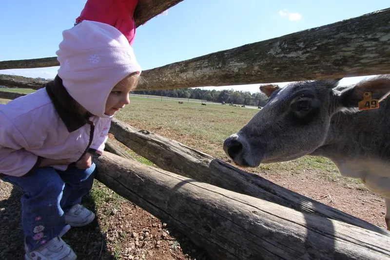 Lazy 5 Ranch