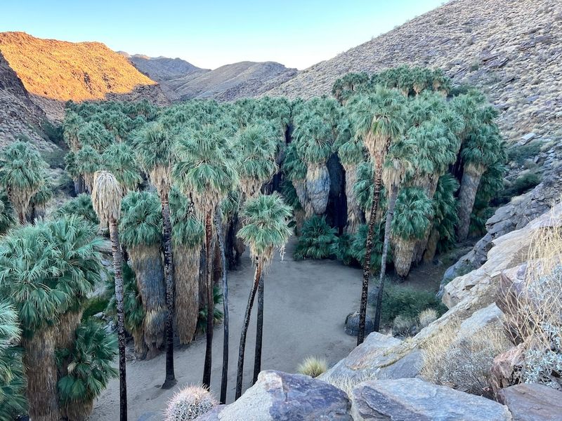 Explore Indian Canyons