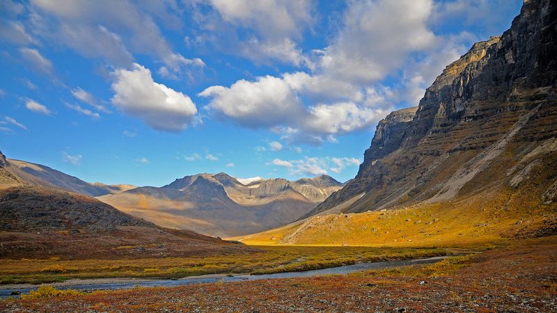 Photography of Untouched Wilderness