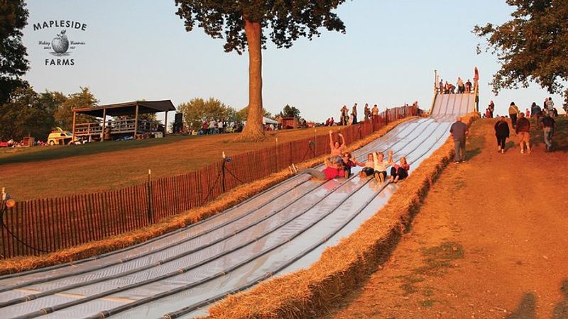 Mapleside Farms