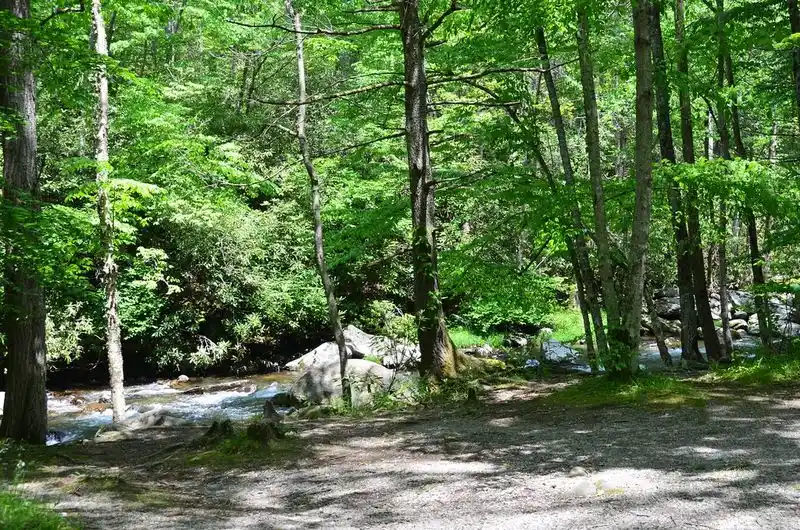 Great Smoky Mountains National Park