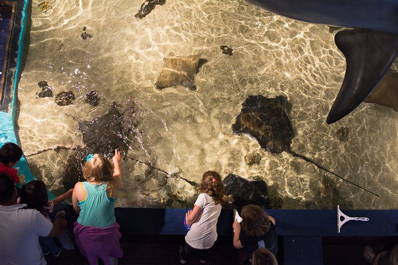 Norwalk Maritime Aquarium, Connecticut