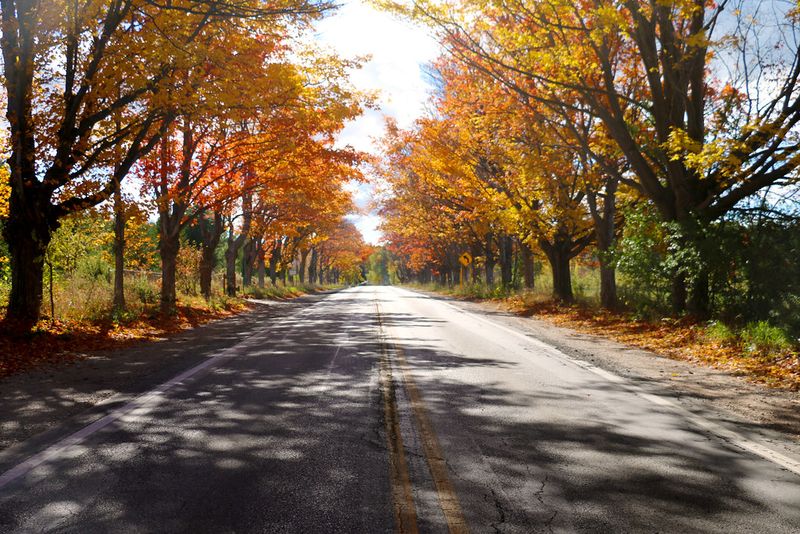 M-22 Scenic Drive
