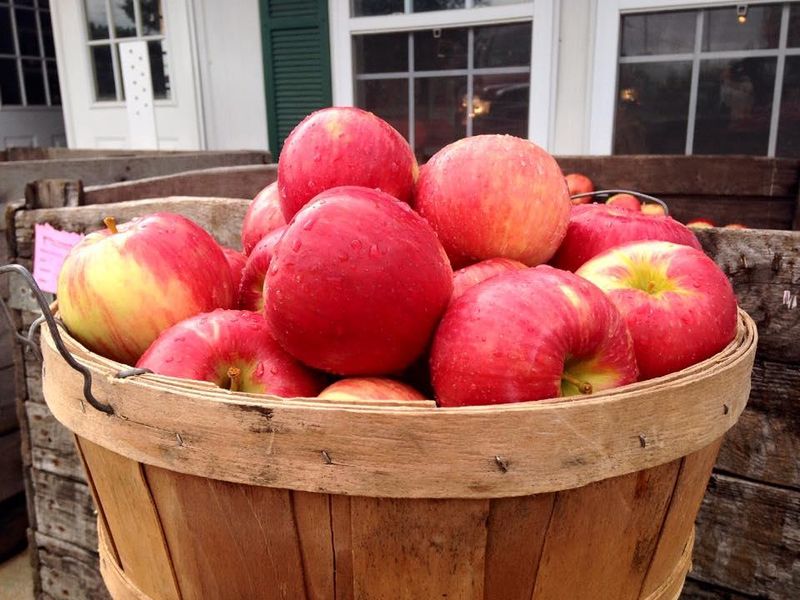 Hill Bros. Orchards & Cider Mill