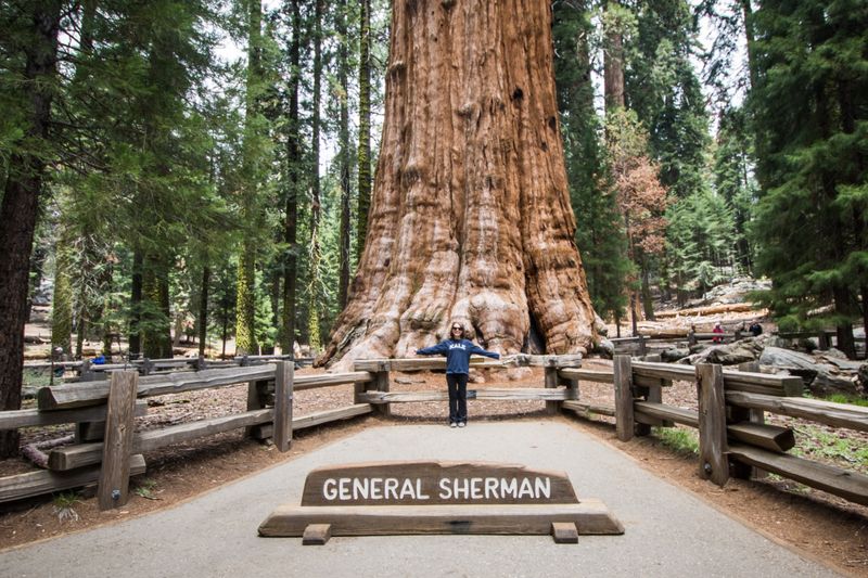 Sequoia National Park