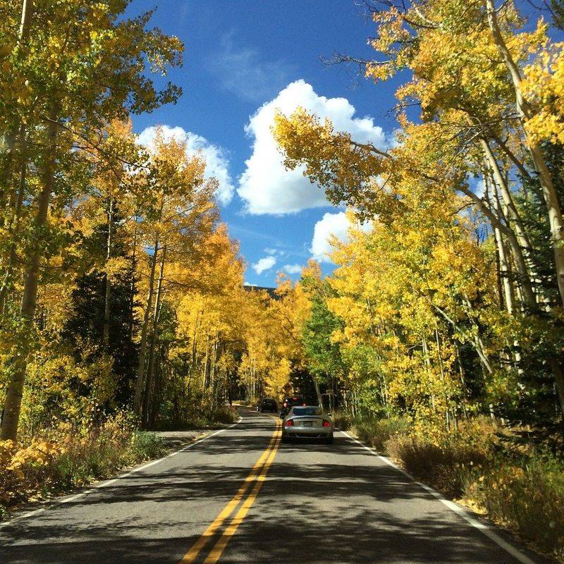 Aspen