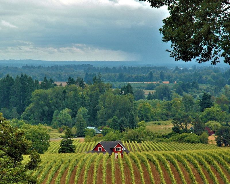Wine Country Drives