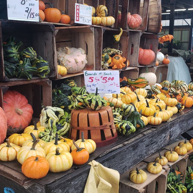 Renninger’s Antique and Farmers’ Market – Kutztown
