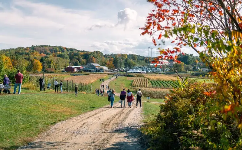 Cider Hill Farm (Amesbury, MA)