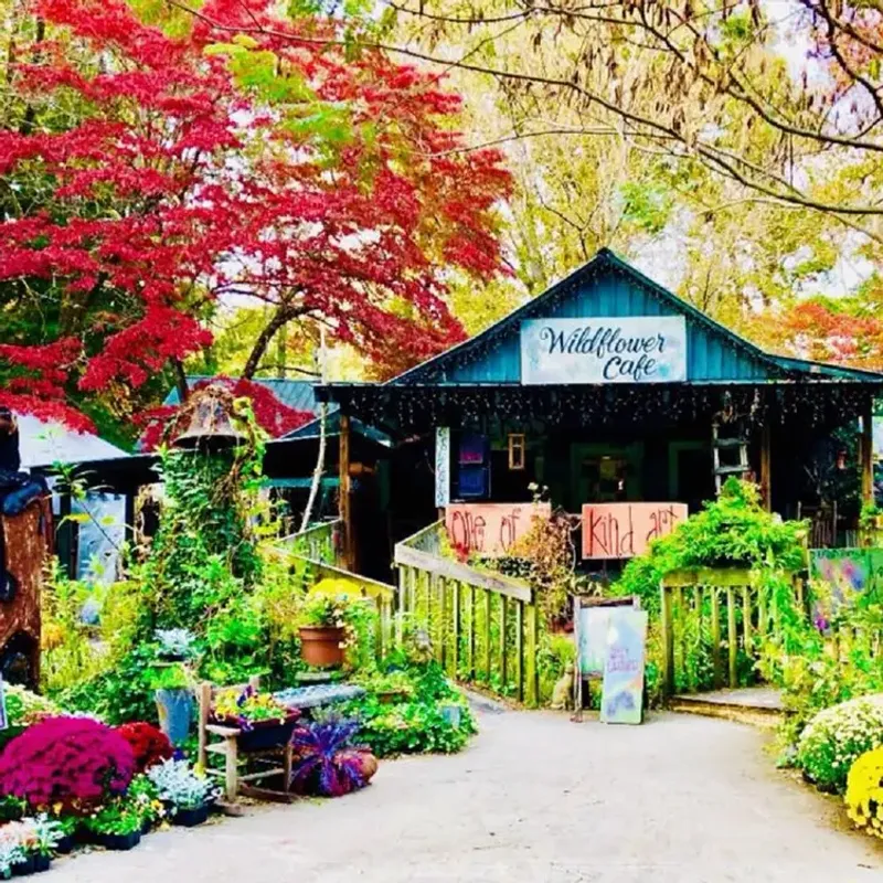 Wildflower Café