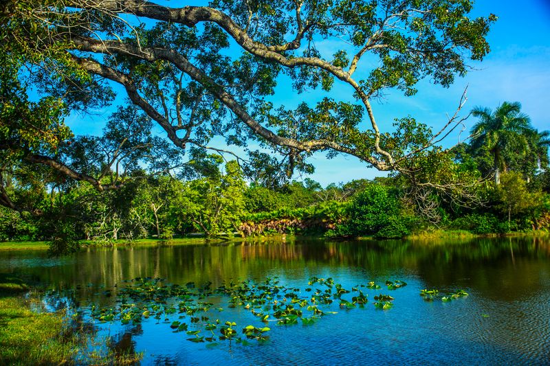 Fairchild Tropical Botanic Garden
