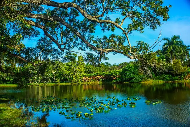Fairchild Tropical Botanic Garden