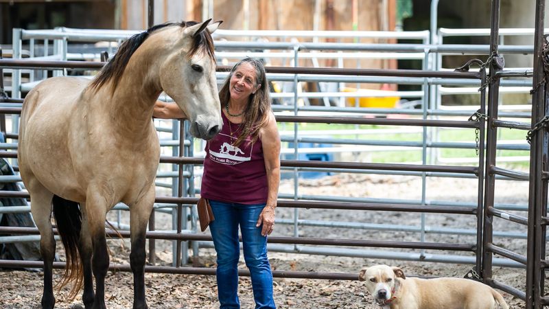 Wild Horse Rescue Center
