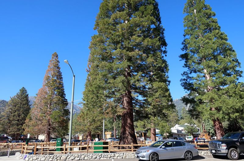 Big Bear to Idylwild