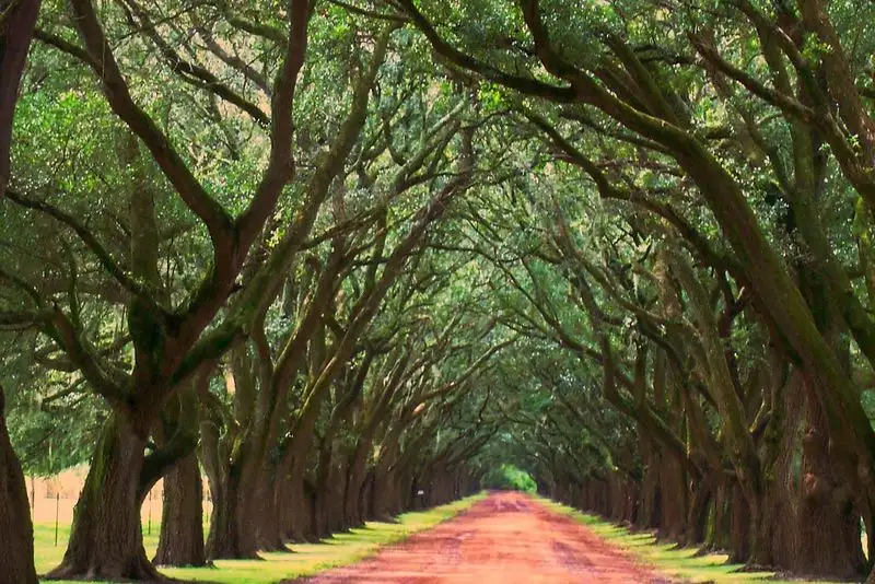 Savannah, Georgia