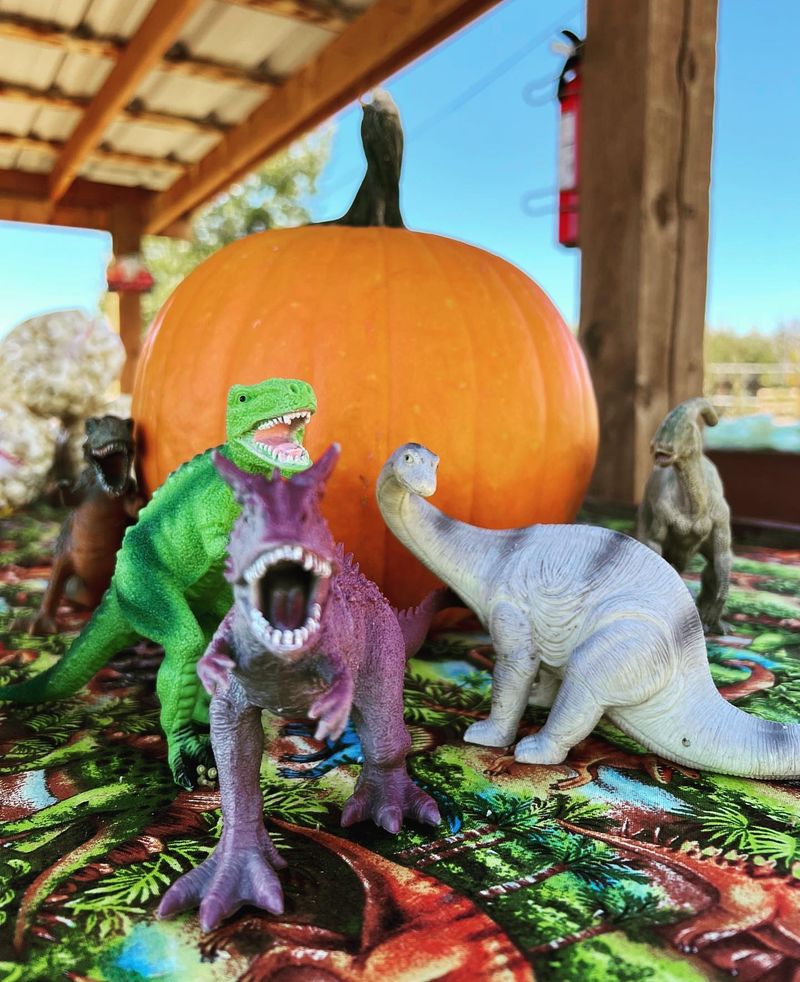 Chile Festival at Wagner’s Farmland Experience – Corrales