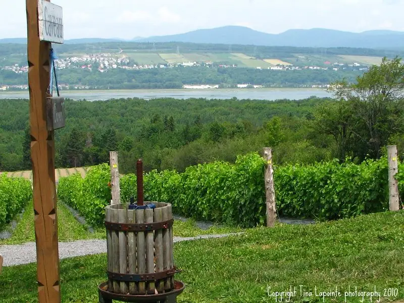Discover Île d'Orléans