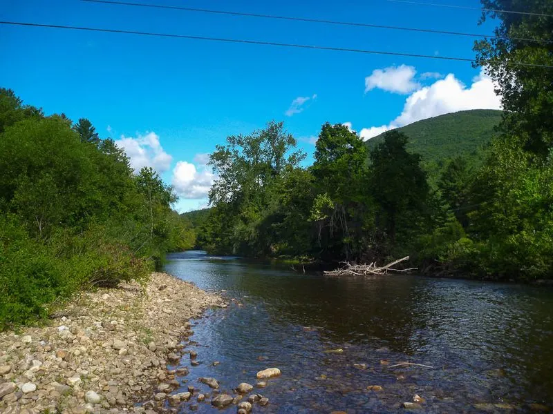 Fly Fishing in the Battenkill River