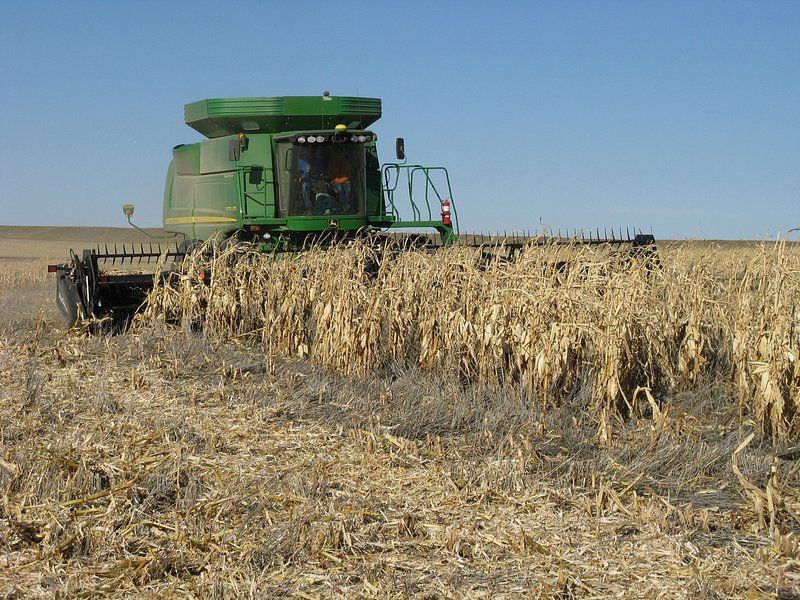 The Annual Harvest Festival