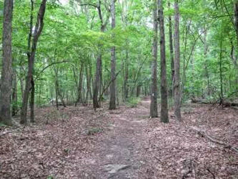 Birkhead Mountains Wilderness