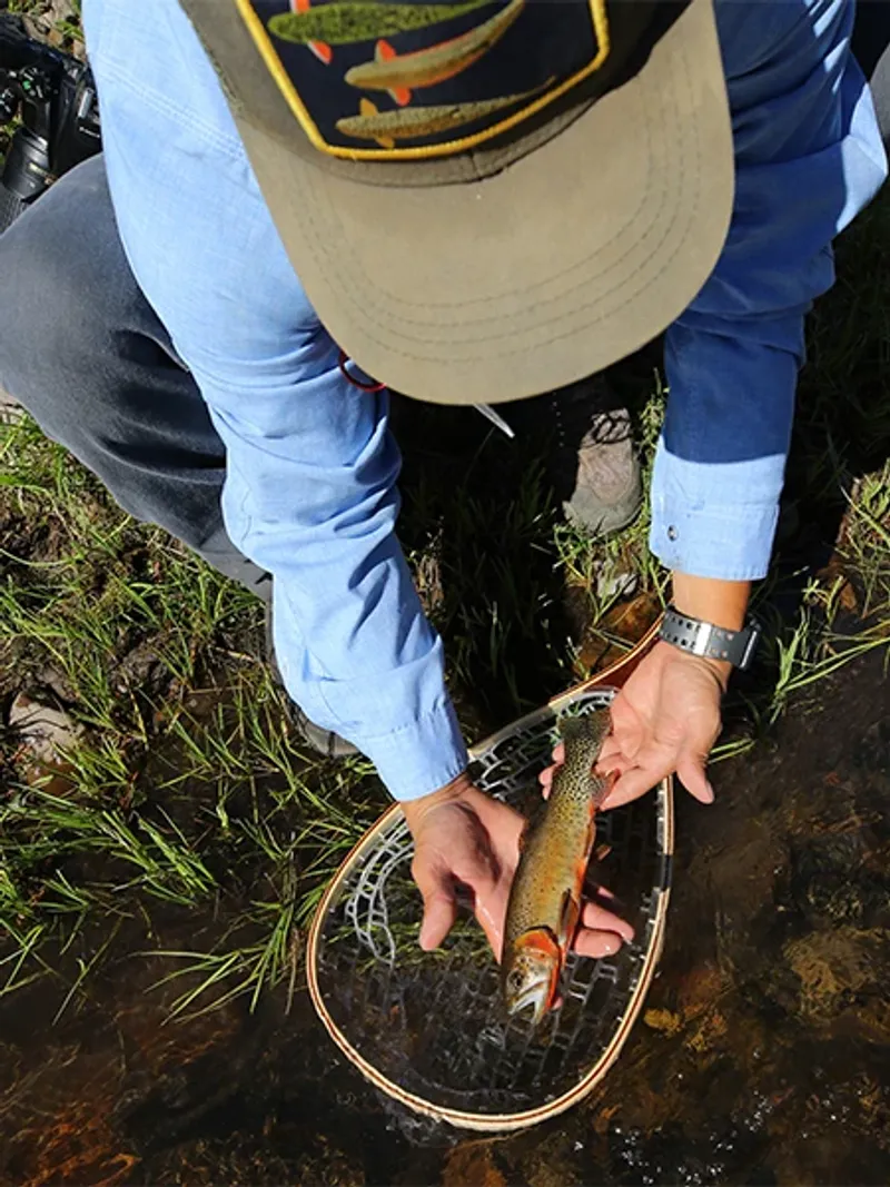 Fishing Opportunities