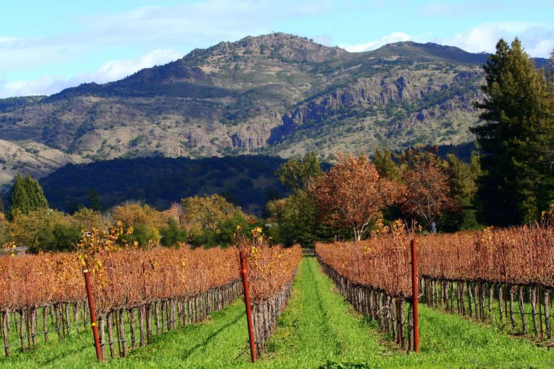 Napa Valley, California