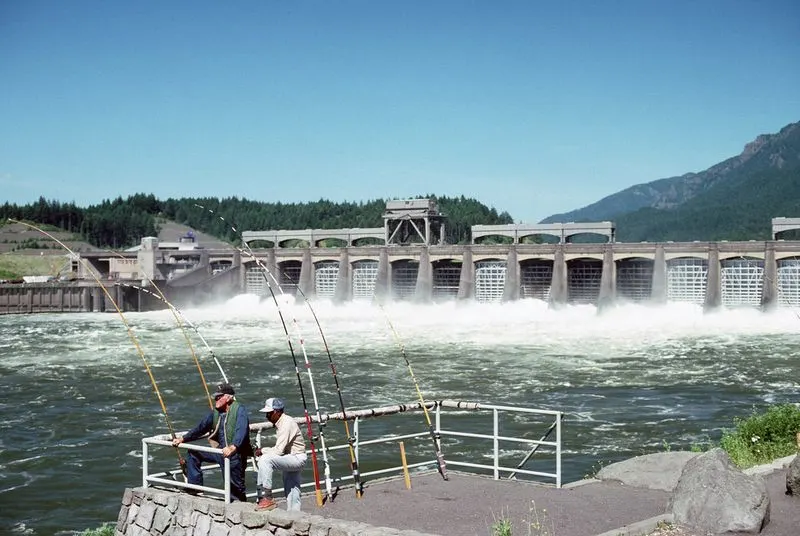 Bonneville Dam