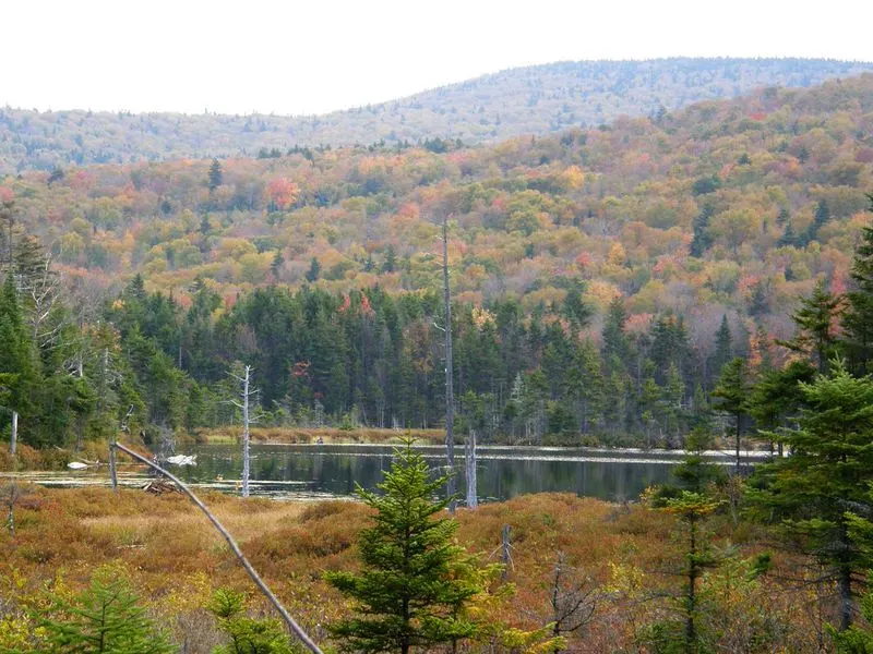 Green Mountain National Forest