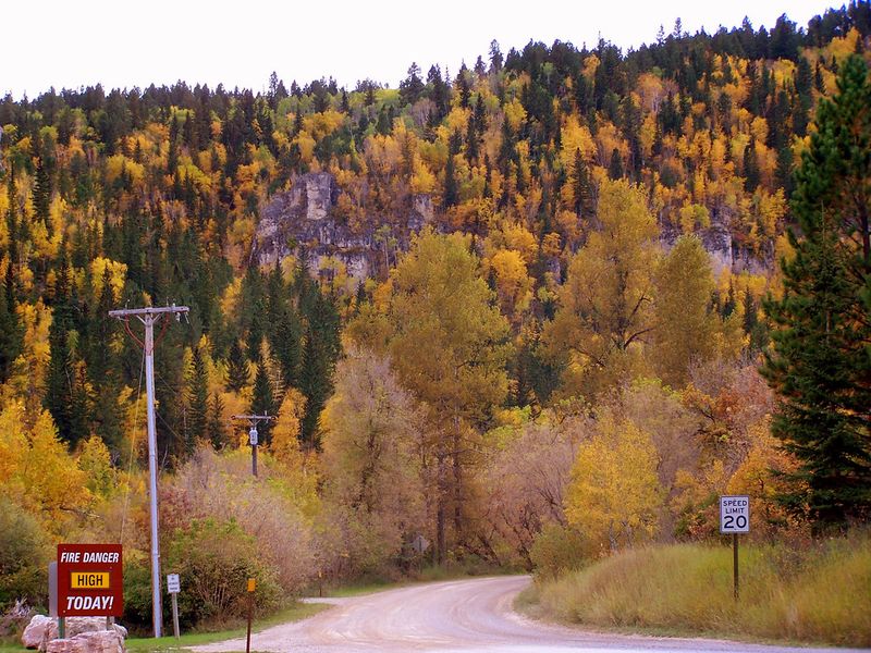 Black Hills, South Dakota
