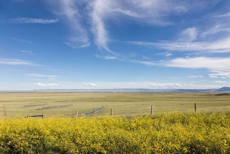 Laramie Plains
