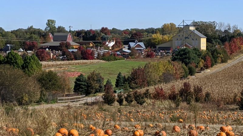 Vala’s Pumpkin Patch