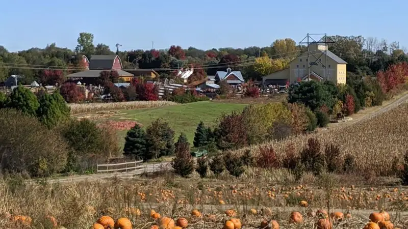 Vala’s Pumpkin Patch