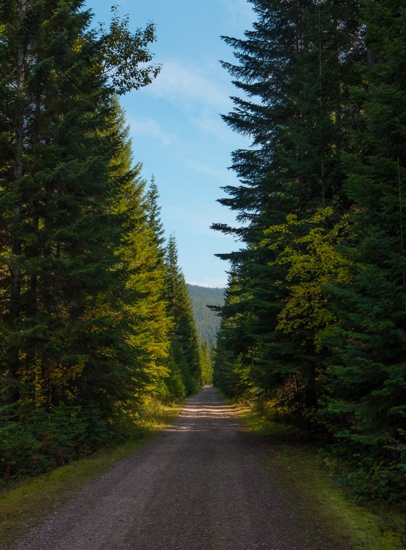 Route of the Hiawatha