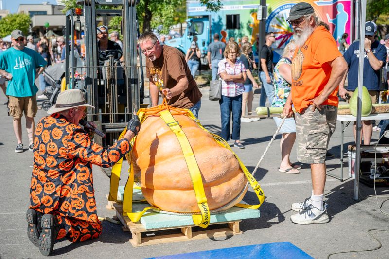 Great Downtown Pumpkin Festival – Rapid City
