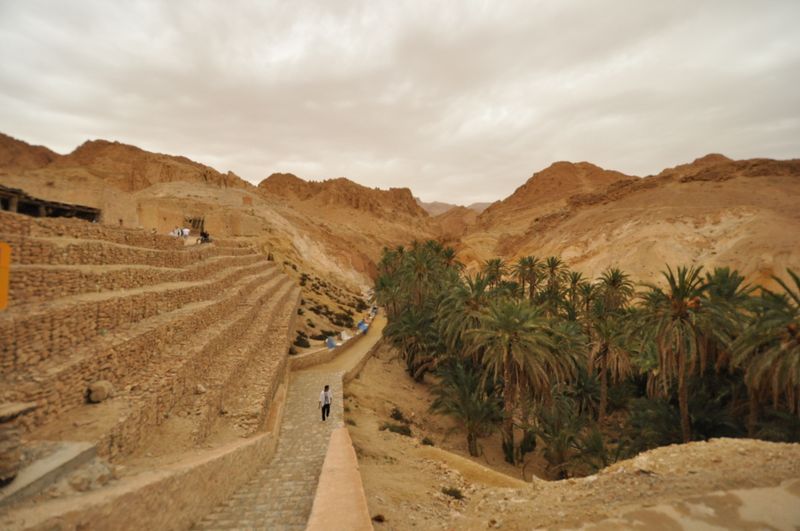 Chebika Oasis, Tunisia