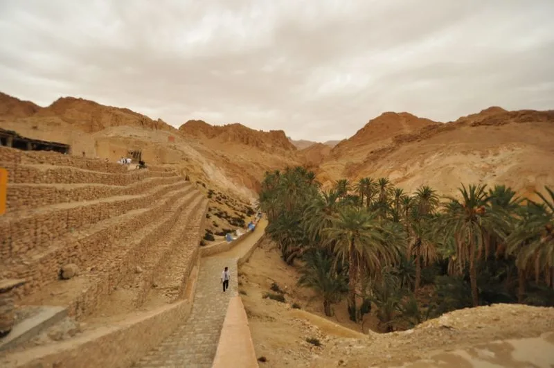 Chebika Oasis, Tunisia