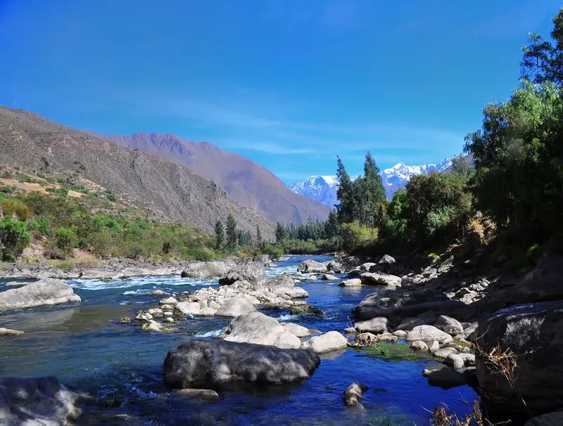 Disregarding Sustainable Travel Practices